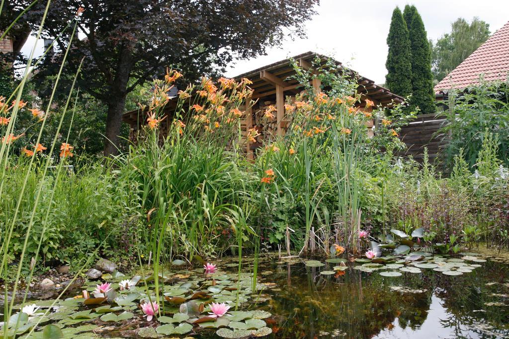 Gemuetliche Gaestezimmer In Einem Neu Sanierten Fachwerkhaus Заксенхайм Экстерьер фото